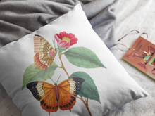 Load image into Gallery viewer, Vintage Butterfly Print Pillow Cover, Pillow Cover Multiple Sizes, Concealed Zipper, Pillow Cover 14"x14", 16"x16", 18"x18", 20"x20"