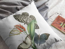 Load image into Gallery viewer, Vintage Butterfly Print Pillow Cover, Pillow Cover Multiple Sizes, Concealed Zipper, Pillow Cover 14"x14", 16"x16", 18"x18", 20"x20"