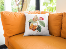 Load image into Gallery viewer, Vintage Butterfly Print Pillow Cover, Pillow Cover Multiple Sizes, Concealed Zipper, Pillow Cover 14"x14", 16"x16", 18"x18", 20"x20"